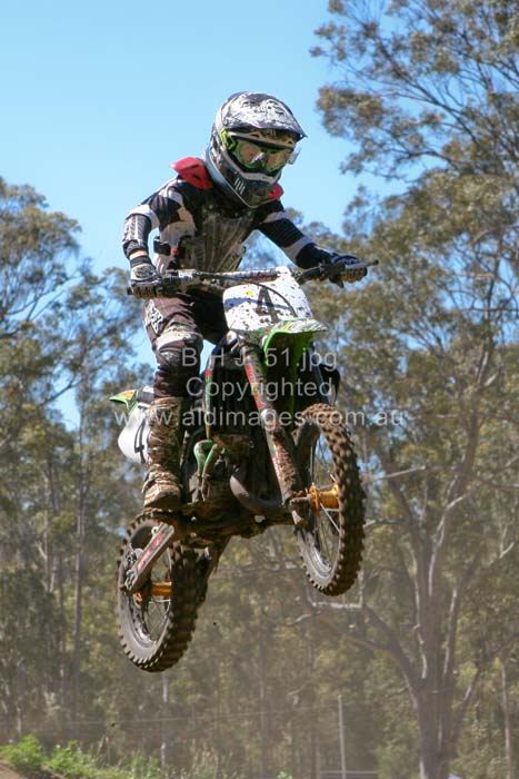 445x677 pixels (67K)